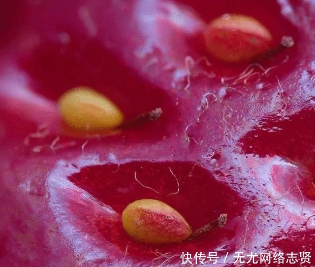 令人 22张“活久见”的照片,令人大开眼界!