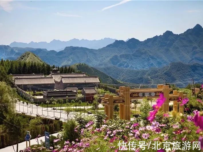 十渡|春已至，花绽放！这份房山赏花攻略请查收！