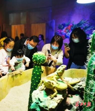 出游防疫两不误,东湖景区游客较前年同期增加一倍有余