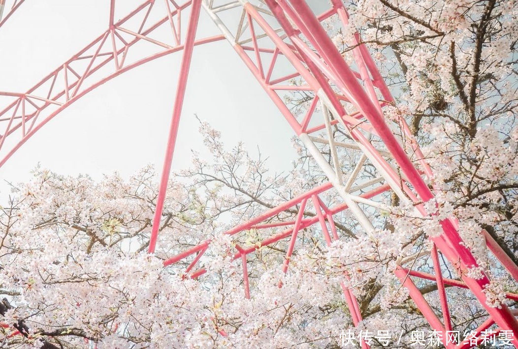 朝鲜半岛|日本人起源于韩国？韩国历史又赢了！