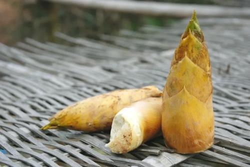 这“1白1黑”是冬季最强根菜王！白防癌通便、黑养肝护心