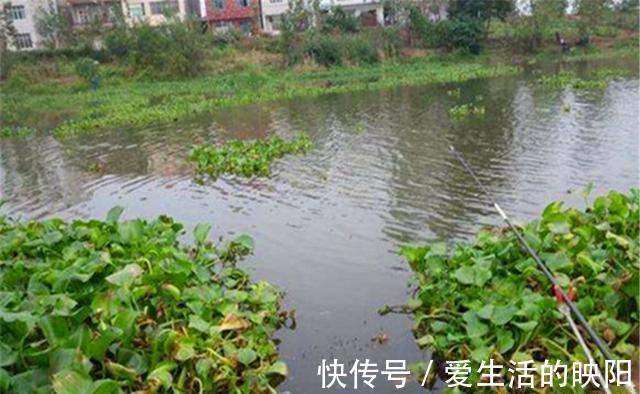 上涨|盛夏时节多大雨，雨后水位上涨是爆护良机，钓涨水鱼用这种钓法