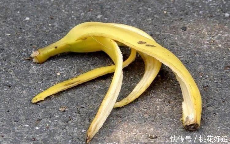 鸡蛋壳|家里4种不起眼的东西拿来养花,土壤更疏松,花花长得更快更好