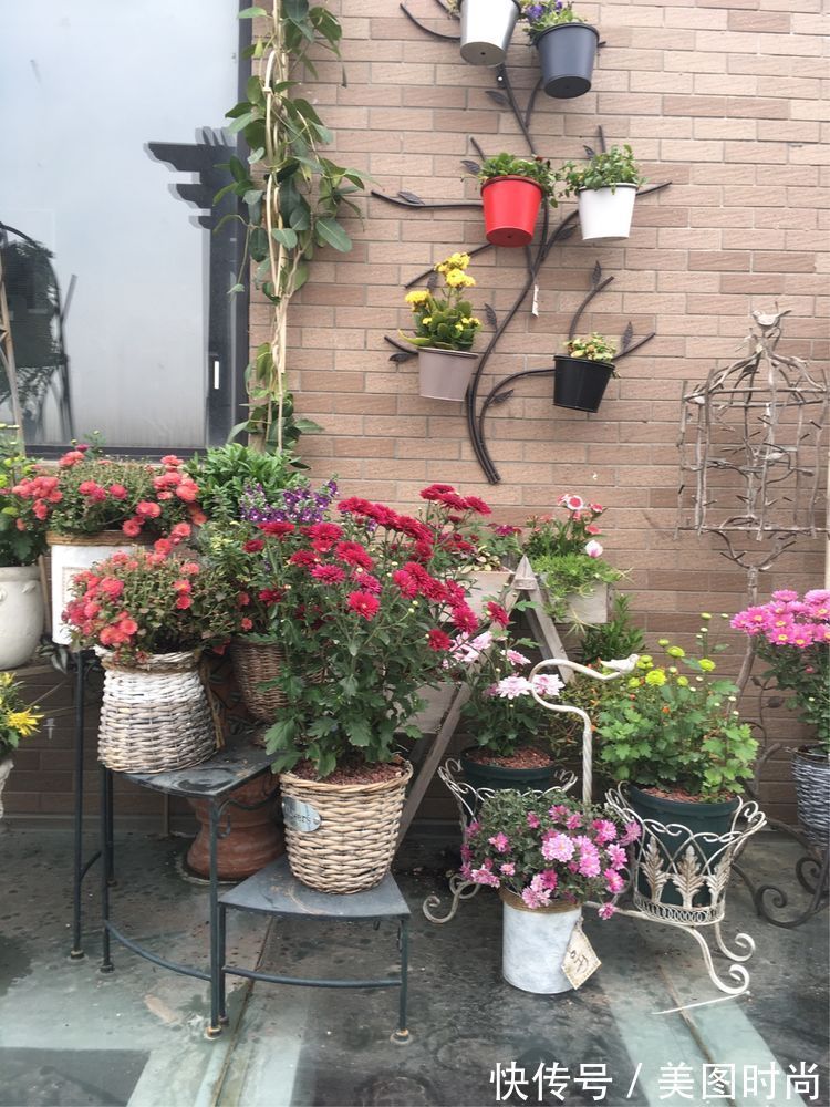 花草|历时一年,在31楼打造300㎡“屋顶花园”,如今美成了仙境