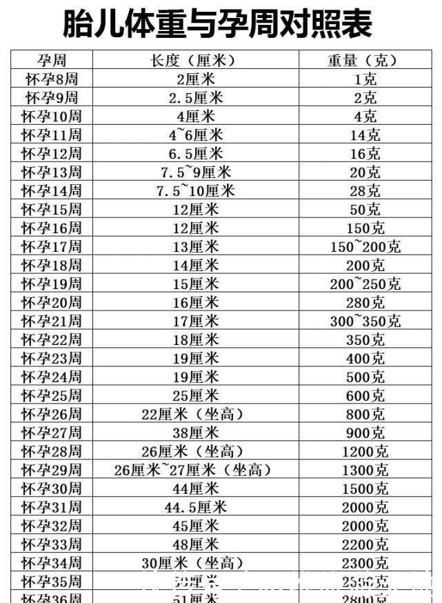 宝宝31周体重多少正常