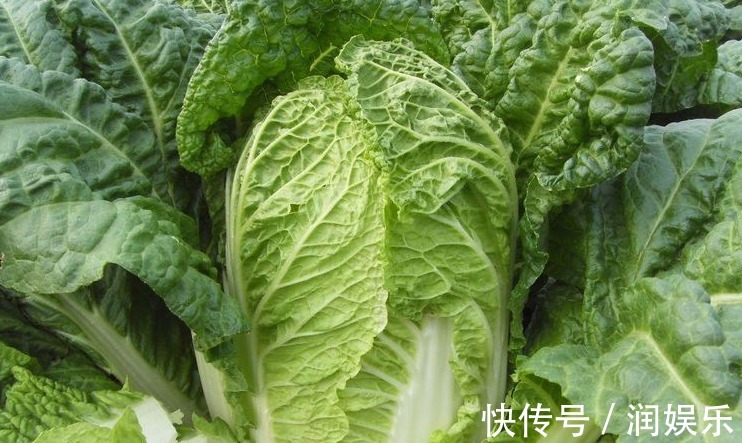 动物蛋白|常吃以下几种蔬菜，能排毒消脂，顺气化痰，健脾利湿，效果显著