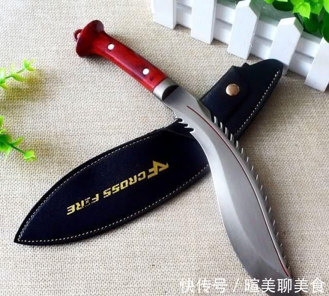 东洋刀@天下武功,唯快不破全球3大著名快刀,反曲刀之王,最霸气