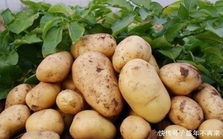当心|土豆虽好,但吃完土豆后要当心,切忌碰此物,现在清楚还不晚