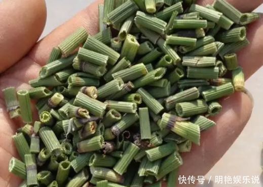 人体|农村不起眼的杂草，却是珍贵的药材，对人体的帮助极大