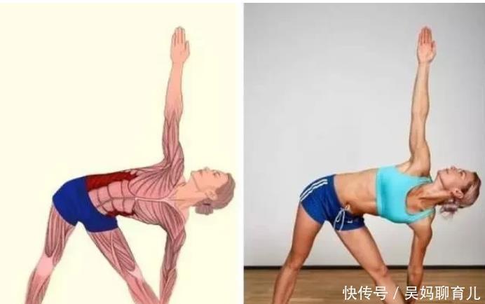 腘绳肌|全身拉筋3D图解，一步到位，在家也能强身健体