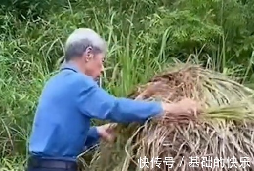 |张焱:湖南第一段子手,干啥啥不行坑爹第一名,专治各种不开心