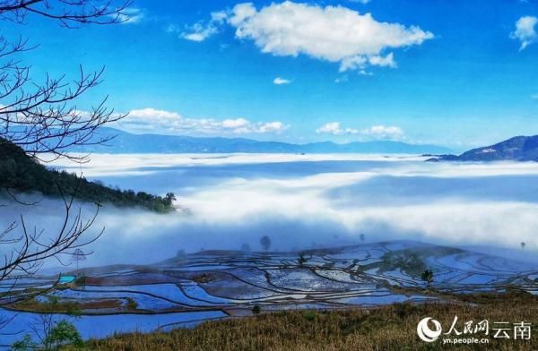 红河撒玛坝梯田|美！云南红河撒玛坝梯田迎来最佳观赏季