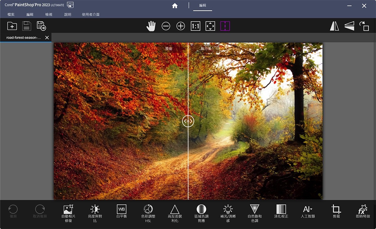 Corel PaintShop Pro 2023 Ultimate v25.1.0.32 图像编辑设计-下载否