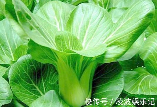 饱和脂肪|吃虾皮可以补钙?医生:真正补钙的是这4种食物,很多人却不爱吃