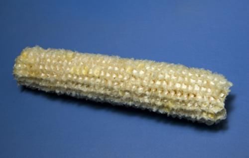 玉米芯|中国人丢掉的垃圾,在国外却是“顶级食材”,中国吃货失策了