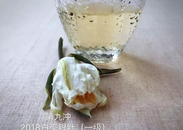 味道|日常知识科普,老白茶味道淡些好,还是浓些好?