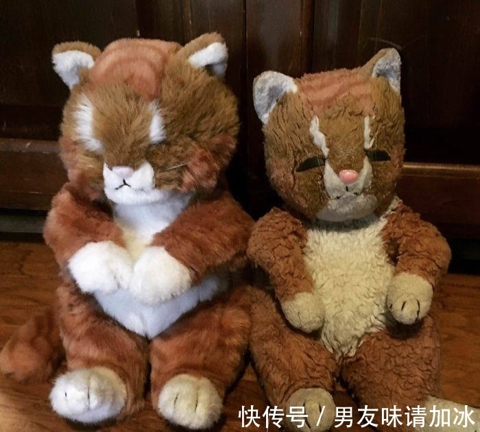 巨齿鲨#20张对比图,这将使您能够从未见过的角度看事物,第四期