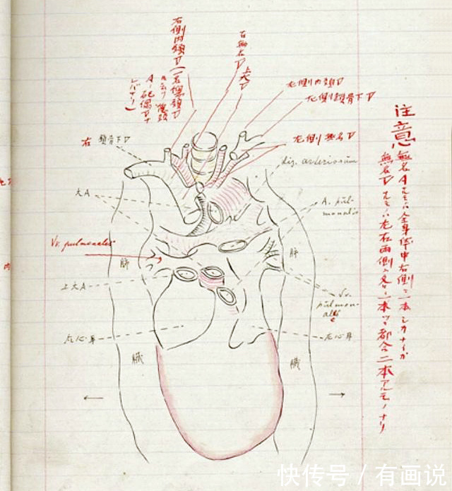  记不起|为何鲁迅对藤野先生“永志难忘”，而藤野却记不起“鲁迅是谁”