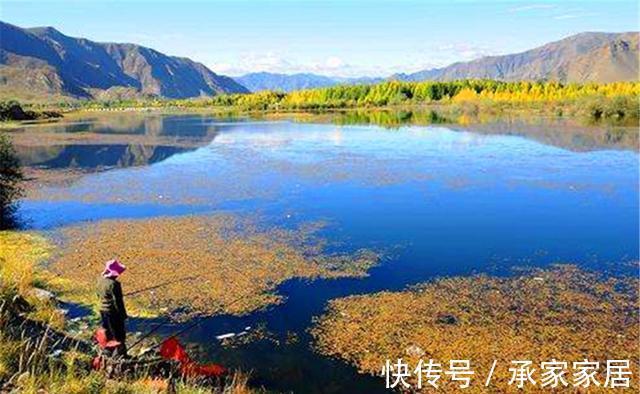 天气|秋季可以钓渊也可以钓边,但是钓边难度更大,套路得当方能爆护