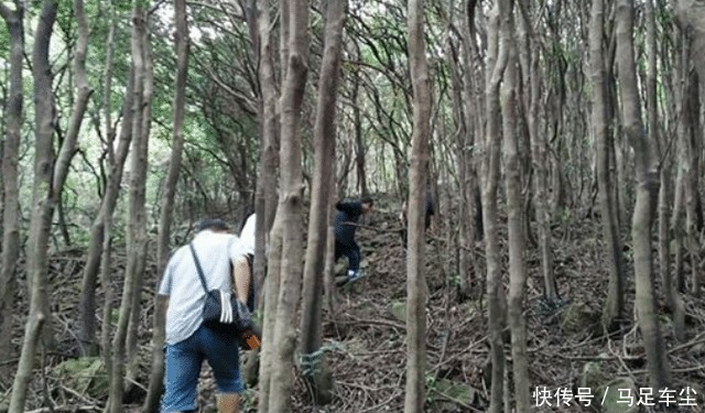 建议:50岁后,尽量放弃这3个运动项目?或会加快身体衰老