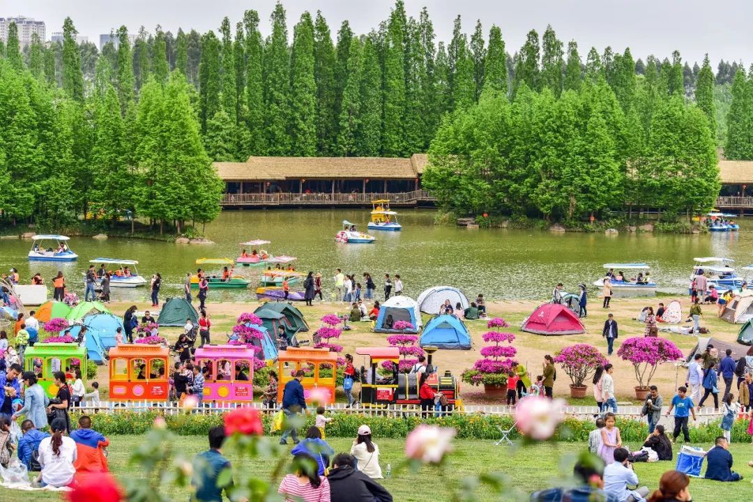 新型|让社区商业“C位出道”的秘诀,可能是这些「新型菜市」