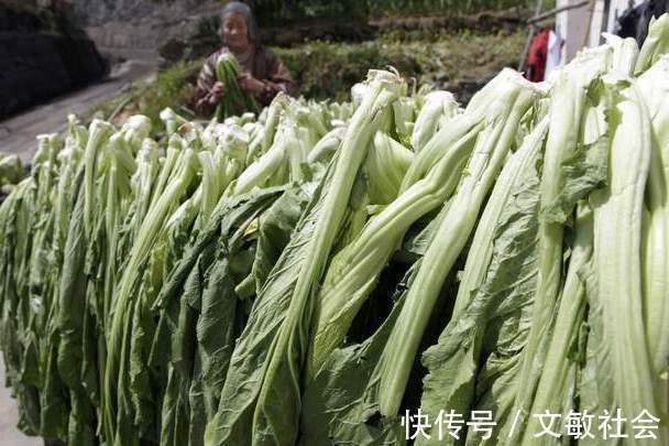 酸菜炖排骨|腌酸菜,别只知道放盐腌,多做3步,酸菜又酸又脆,放1年也不坏