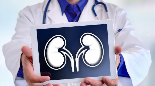 肾脏|肌酐升高,竟是好事!肾友不知道这个常识,会吃大亏