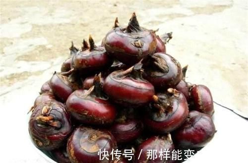 红骨髓|女性想要身体好，推荐的好食物，补充能量，缓解疲劳，气色变红润