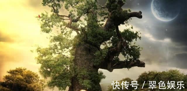 书评!五本精彩十足的网络小说,一看书名就想入坑,熬夜看来不放手