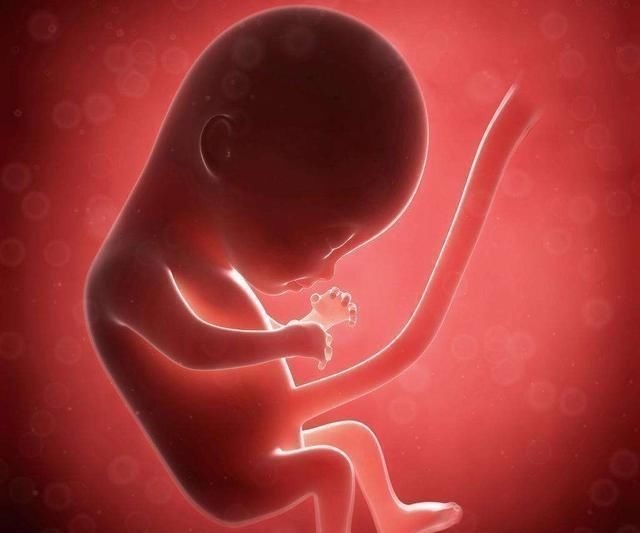 胎儿|怀孕多吃鱼娃更聪明?三种鱼不建议孕妈吃,否则坑的是肚子里的娃