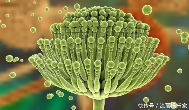 食物|黄曲霉毒素很狡猾，如果你家里厨房有5种情况，抓紧收拾