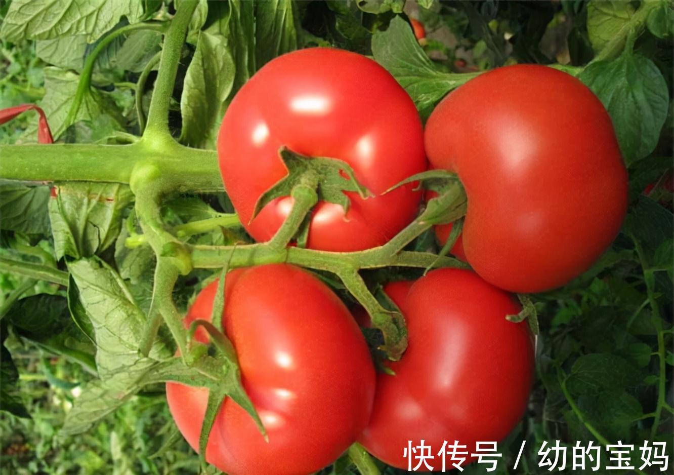 补水润肤|女性想要皮肤好,推荐常吃三种食物,补水润肤,祛皱淡斑