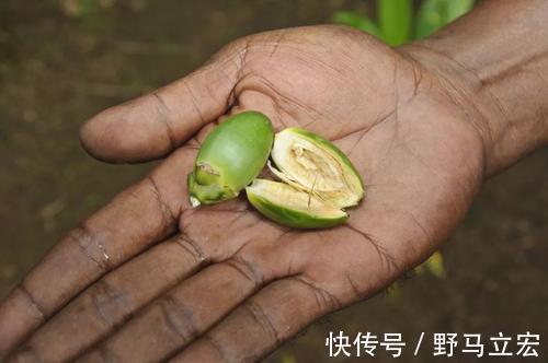 水果|医生多次提醒高血压人群万不能碰2种水果,吃了只会加重病情