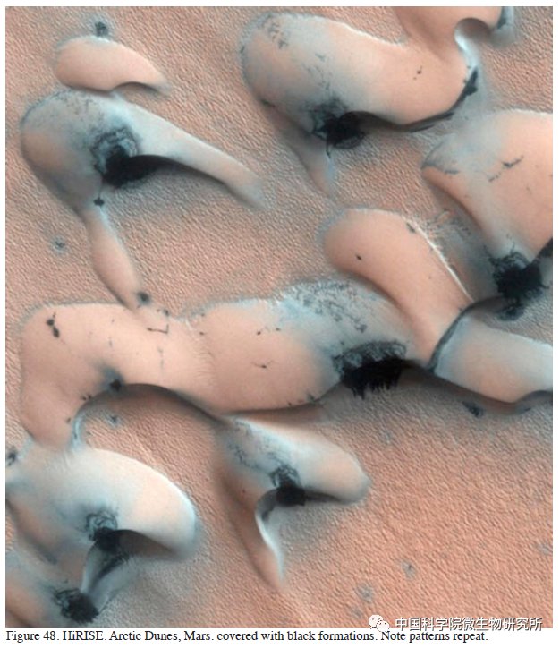 非生物 火星上存在真菌吗？