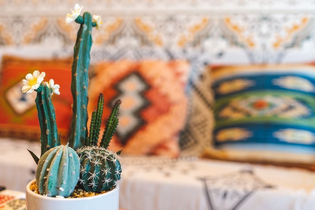 网红|这家民宿我推荐它是因为便宜