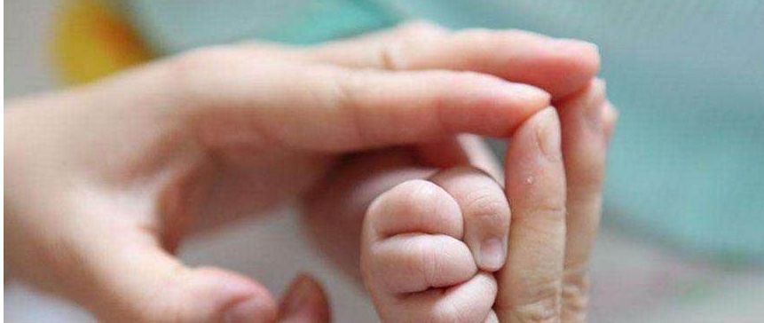 父母们|孩子是否聪明,手上这些特征会说明,家长测下你家孩子智商高吗