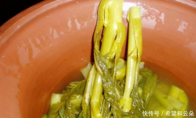 腌酸菜,不要只放盐,记得加点“它”,酸爽可口容易上瘾