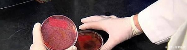 大厨教你粉条不粘锅又好吃的做法,一学就会,比饭店做的还好吃