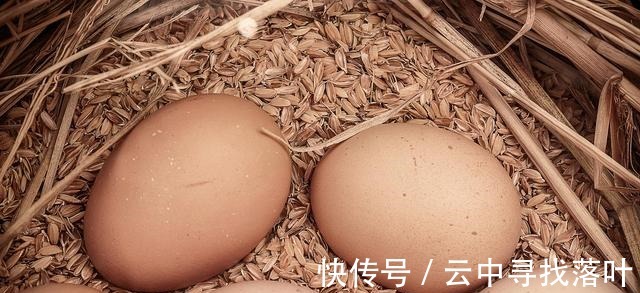 红薯叶煮鸡蛋|红薯叶煮鸡蛋,作用实在是太厉害了,省钱又实用,很多人都不知道!