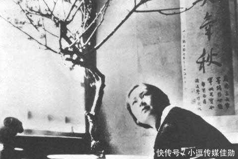 钱钟书和林徽因是邻居,他总找林徽因麻烦,甚至不放过她的猫