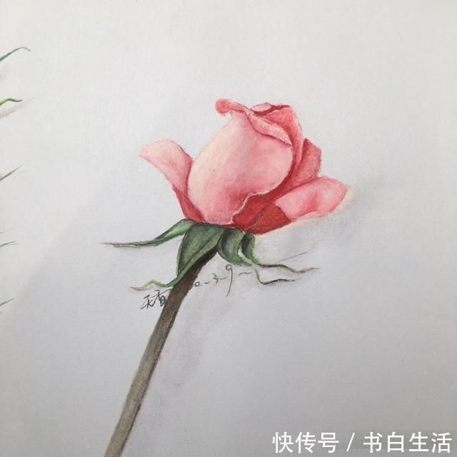 毛笔!手绘逼真的玫瑰花,只要四步就能学会,快来看看吧