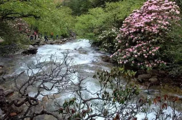 美景|推荐一处川西美景，一年四季都好耍！