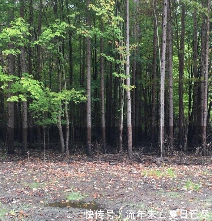 东边日出西边雨|25张“假”照片，车洗得太干净犹如隐身，拍出镜子里外不同的自己