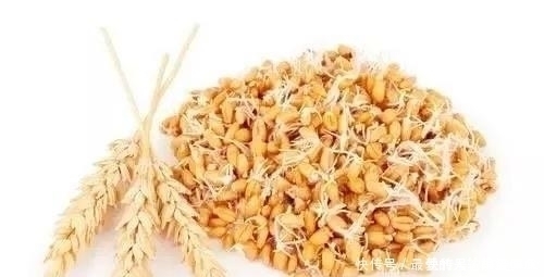 十年野钓经验后才发现一旦进入了夏季,这四种鲤鱼最感兴趣