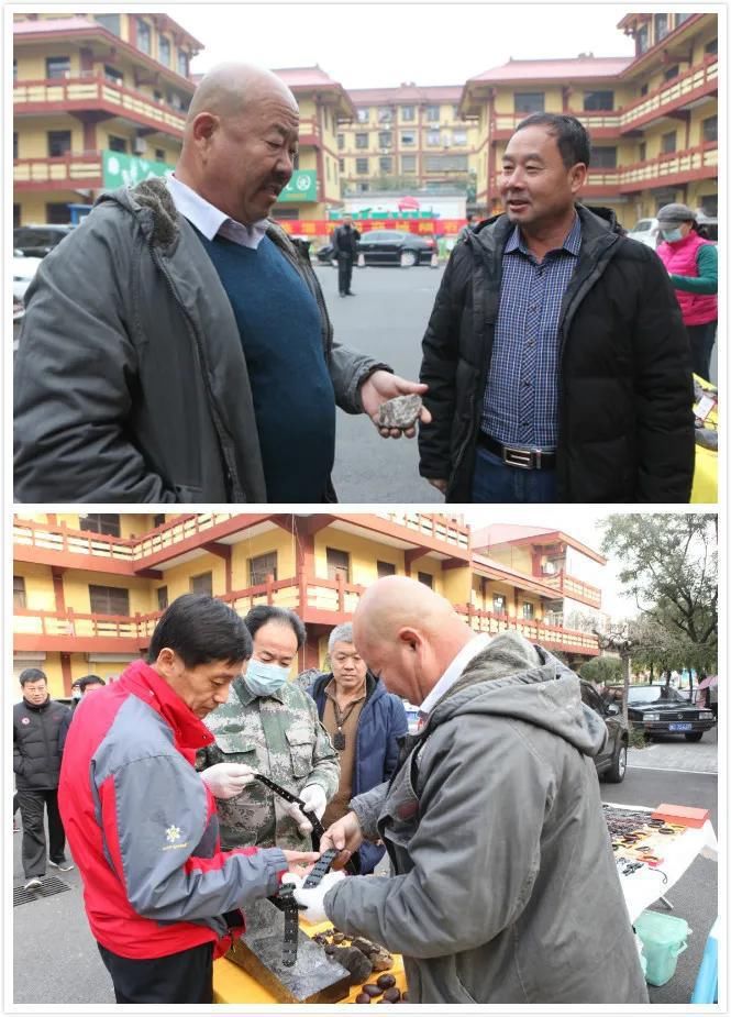  陨石|“群星”在故都闪耀——第四届临淄齐国商城陨石展