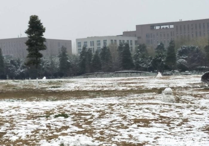 南方下雪都是这么兴奋的。网友直呼“被你们玩坏了”!