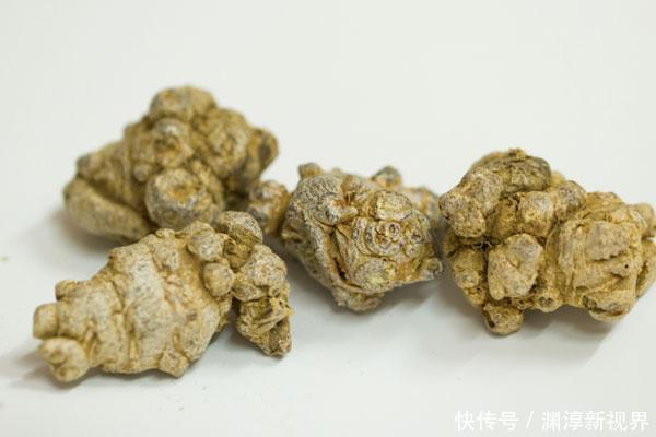 三七和丹参哪个通血管好？别纠结，教你一招，或许血管干净通畅