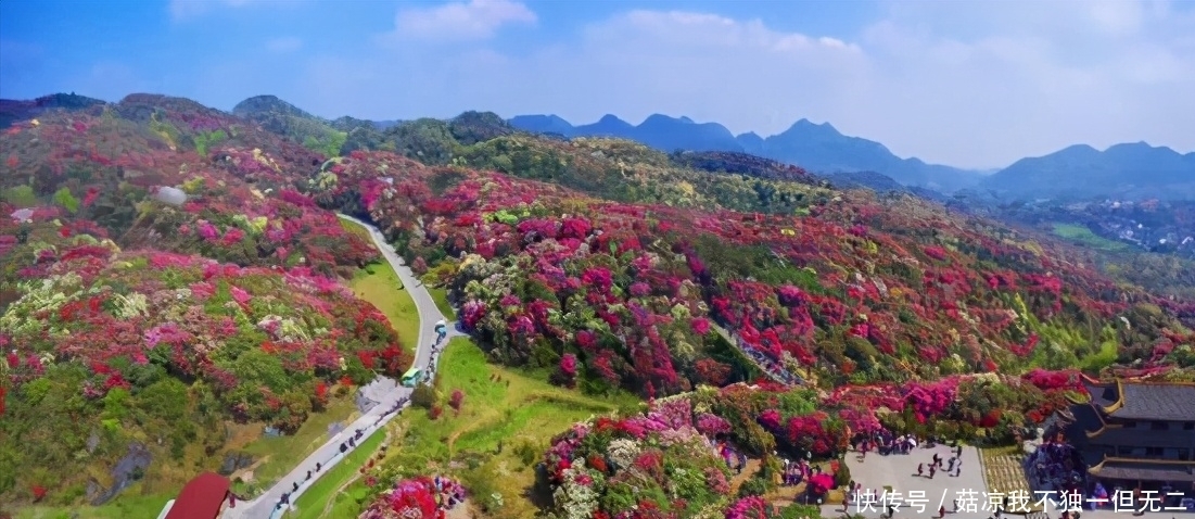 在清明假期中，旅游收入超10亿的省份有几个？前三名让人意想不到