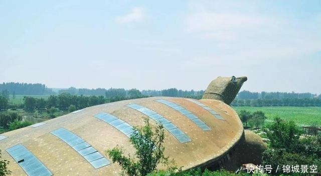 可怕的“中国式审美”,正在毁掉三代人