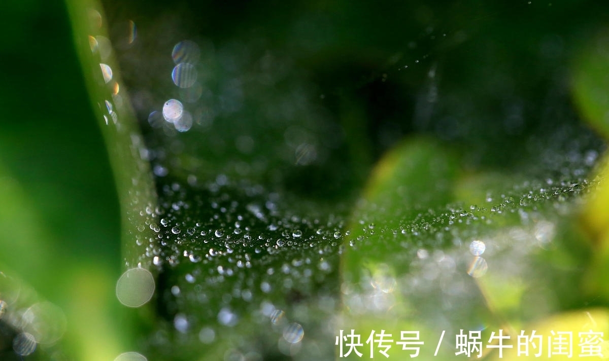 步秋#七律:步秋(新韵)